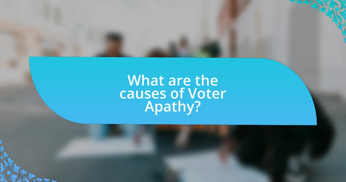 What are the causes of Voter Apathy?